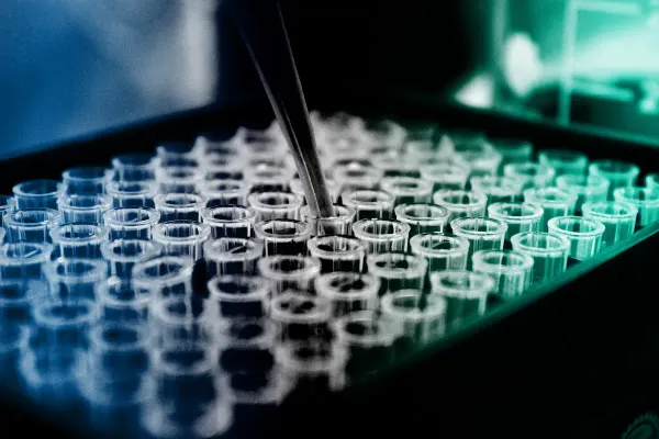 A diagram about the consequences of no-shows